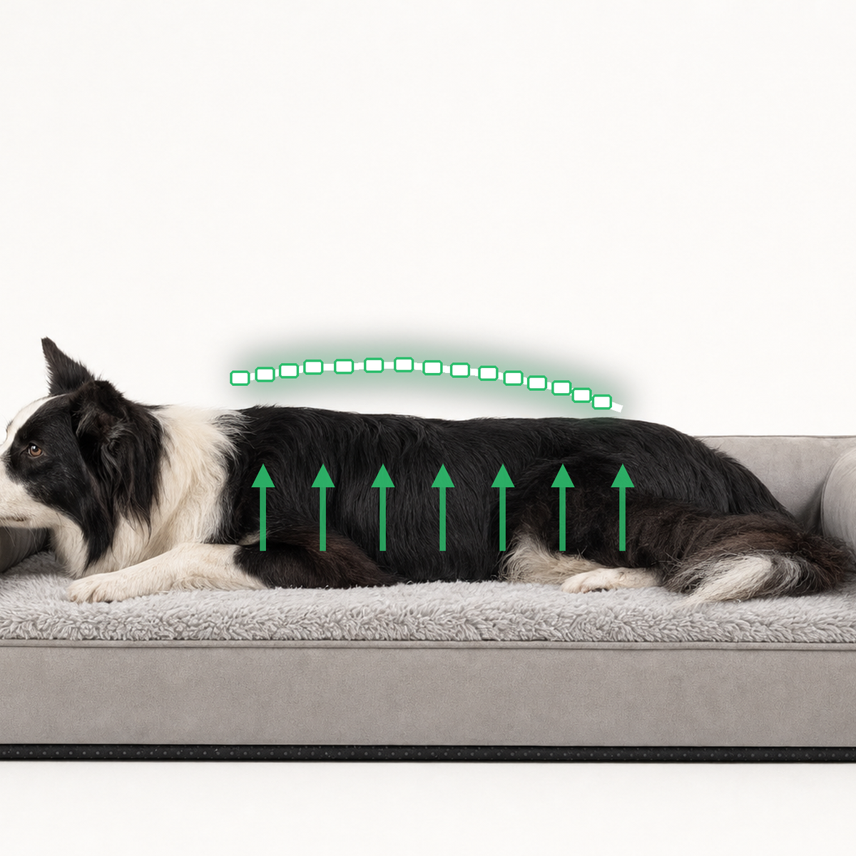 Un chien couché de tout son long sur le lit orthopédique