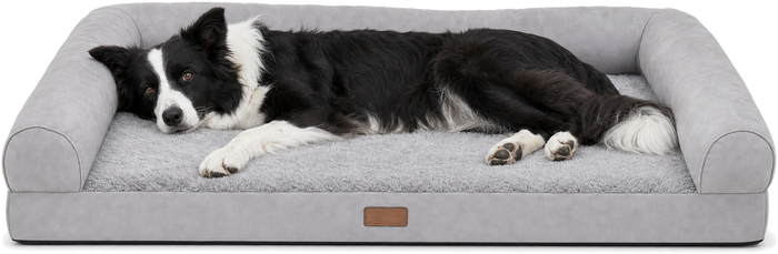 Un grand chien couché de tout son long sur le lit orthopédique Houndrest, taille L