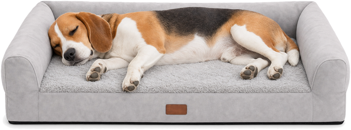 Un chien de taille moyenne endormi sur le lit orthopédique Houndrest, taille M