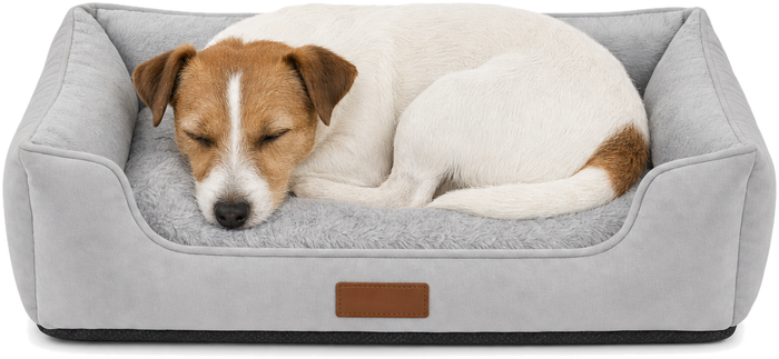Un petit chien installé sur le lit orthopédique Houndrest, taille S